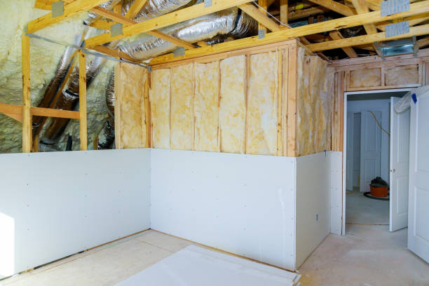 Best Wall Insulation Installation  in USA